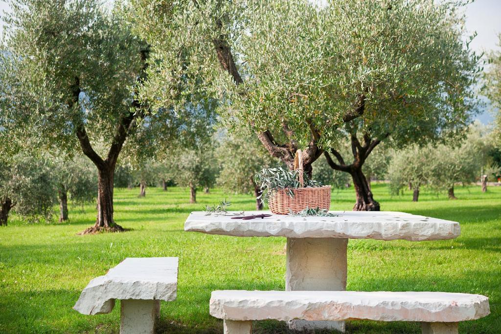 Olea Dei Holiday Apartments San Felice del Benaco Ngoại thất bức ảnh