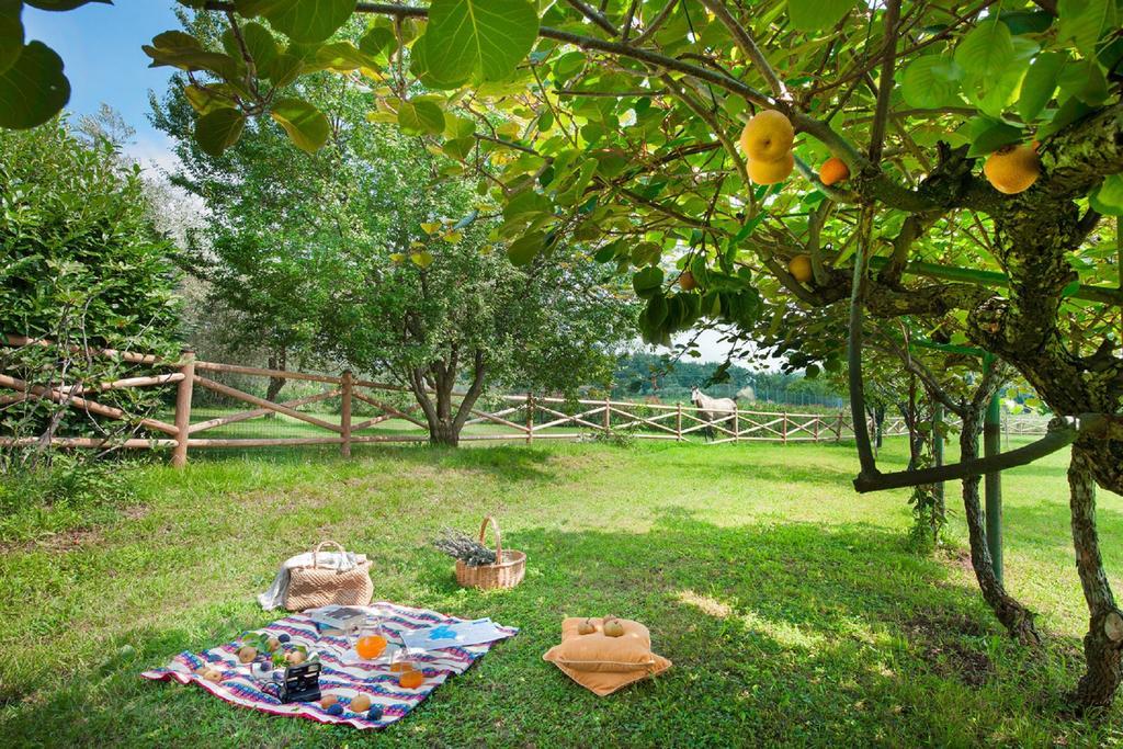 Olea Dei Holiday Apartments San Felice del Benaco Ngoại thất bức ảnh
