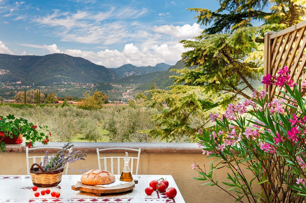 Olea Dei Holiday Apartments San Felice del Benaco Ngoại thất bức ảnh